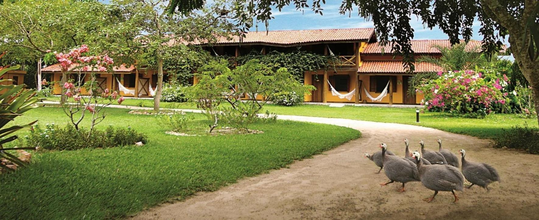 Fazenda Hotel Candeal Conceicao de Jacuipe Esterno foto